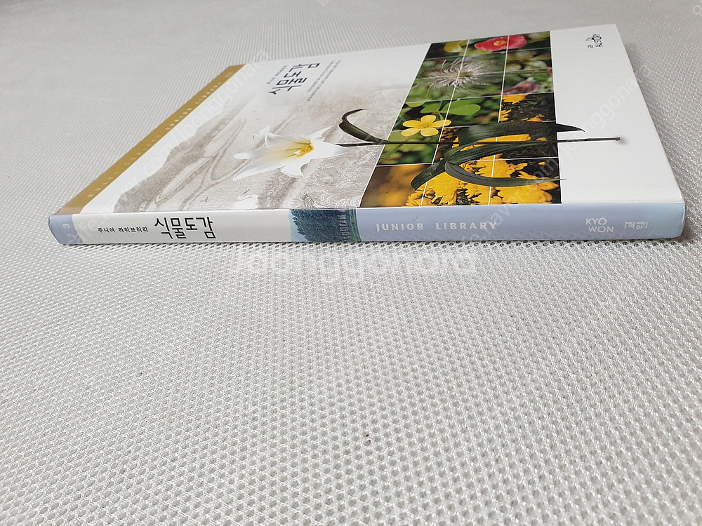 식물도감/ 만화교과서 5학년/ 세밀화로 그린 보리 어린이 식물도감/ 만화로 읽는 삼국유사 & 삼국사기/ 술술넘어가는...--1